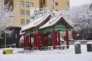 暴雪席捲華州 交通癱瘓 學校再度停課