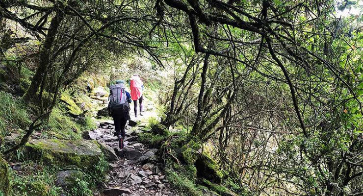 夏日出遊登山好季節 避開人群享受大自然有良方